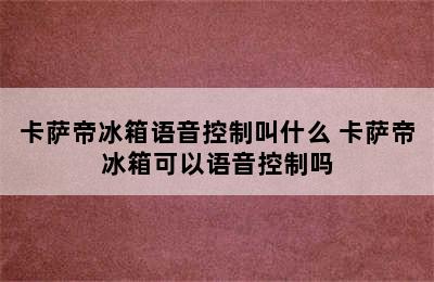 卡萨帝冰箱语音控制叫什么 卡萨帝冰箱可以语音控制吗